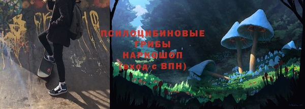 гидра Алзамай
