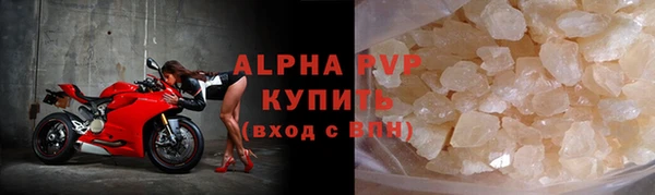 ГАЛЛЮЦИНОГЕННЫЕ ГРИБЫ Козловка