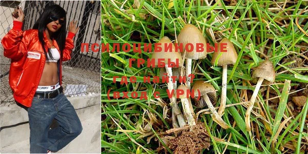 марки nbome Алексин