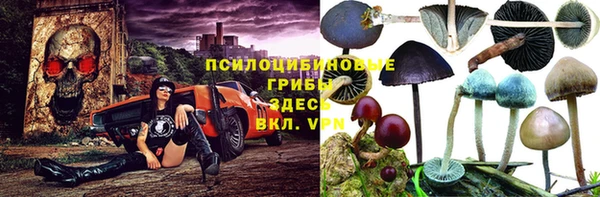 гидра Алзамай