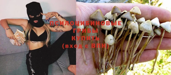 трава Козельск